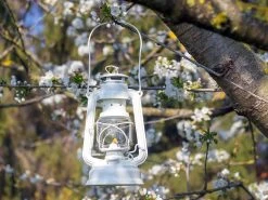 Feuerhand Baby Special 276 Pure White Stormlamp 10 Feuerhand Baby Special 276 Pure White Stormlamp -Buitenkampeerwinkel feuerhand stormlamp wit 3 ecommerce 5631